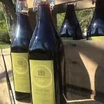 Domaine Du Mas Naut 4* Conques-en-Rouergue