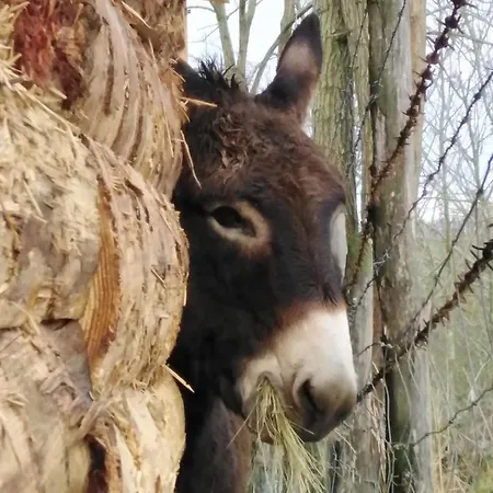 Отель типа 