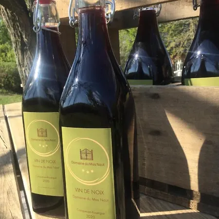 Domaine Du Mas Naut 4* Conques-en-Rouergue