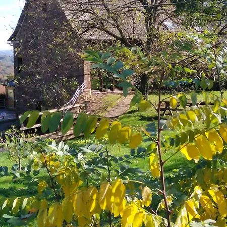 Domaine Du Mas Naut 住宿加早餐酒店 4*