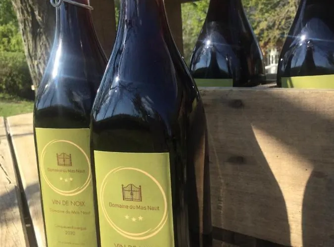 Domaine Du Mas Naut 4* Conques-en-Rouergue